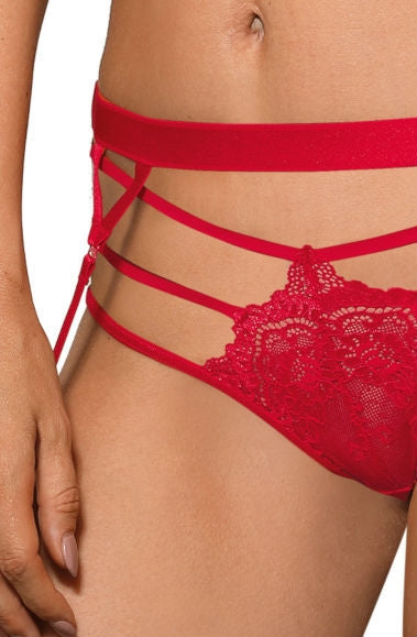 Vibrators, Sex Toy Kits and Sex Toys at Cloud9Adults - Roza Cyria Red Brief - Buy Sex Toys Online