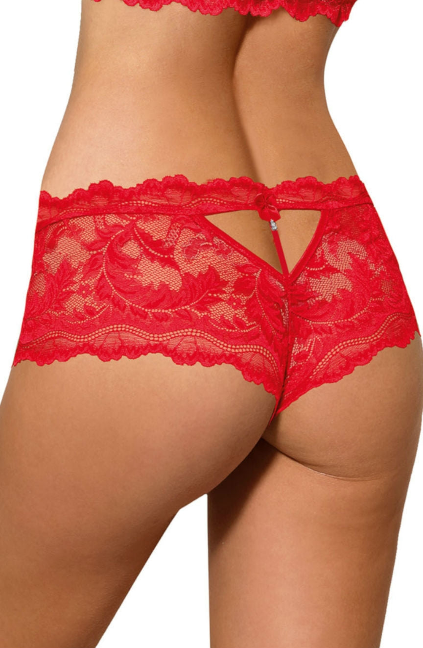 Vibrators, Sex Toy Kits and Sex Toys at Cloud9Adults - Roza Sefia Brief Red - Buy Sex Toys Online